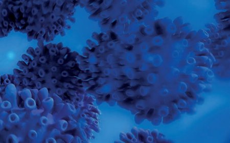 Küresel Kabus Coronavirüs / Covid-19