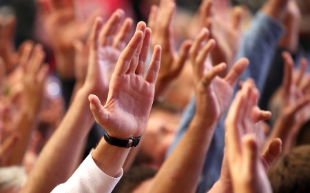 İnsan Hakları ve Demokrasi Haftası