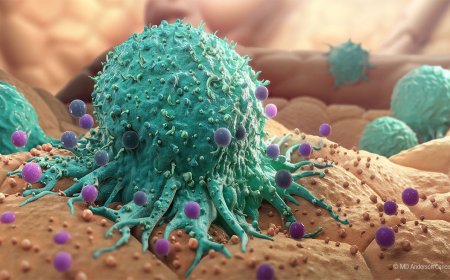 Dünya Kanser Günü