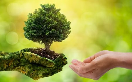 Çevre Koruma Haftası