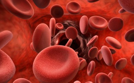 Dünya Hemofili Günü