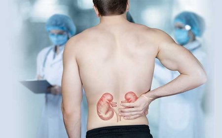 Dünya Böbrek Günü