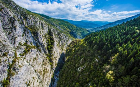 KÜRE DAĞLARI MİLLİ PARKI