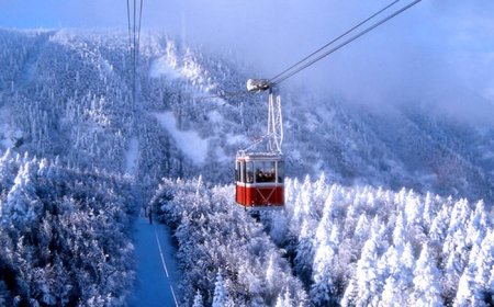 ULUDAĞ MİLLİ PARKI