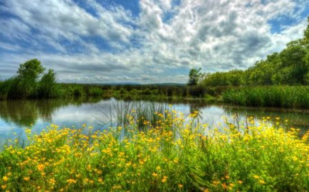 İĞNEADA LONGOZ ORMANLARI MİLLİ PARKI