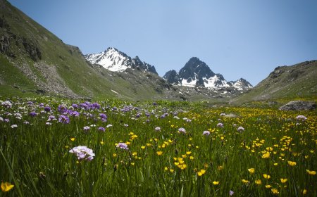 KAÇKAR DAĞLARI MİLLİ PARKI