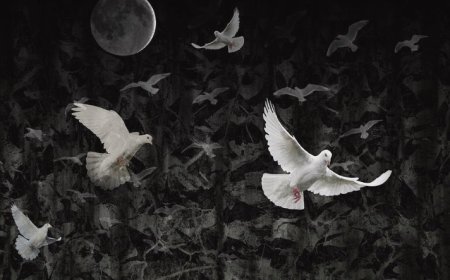 Rüyada kuş görmek